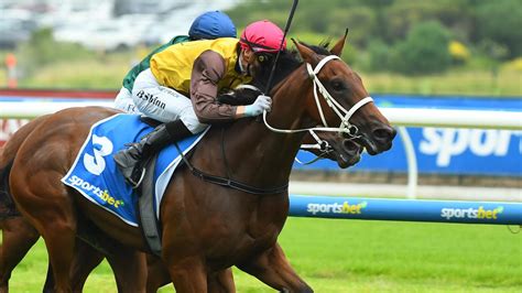 2021 Blue Diamond Stakes: Final Field, Barriers and Market.